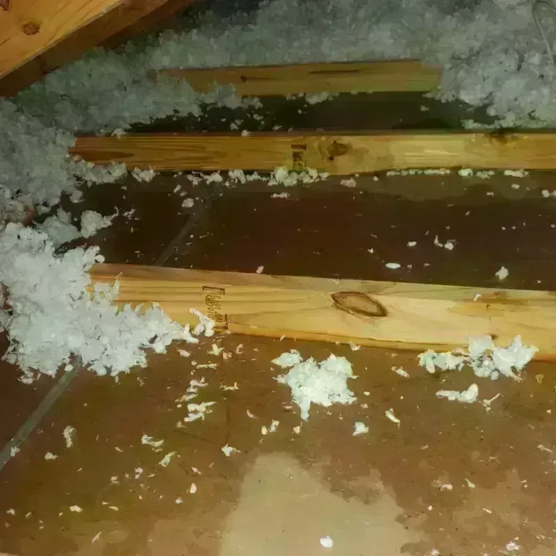 Attic Water Damage in Snohomish County, WA