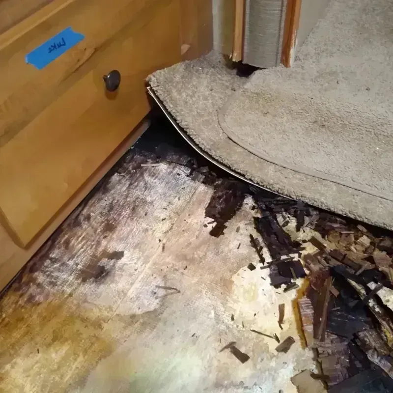 Wood Floor Water Damage in Snohomish County, WA